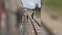 Vídeo de la noticia