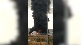 Vídeo de la noticia